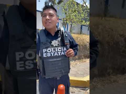 Eso ofic/iales vio/lan el artí/culo 16 y el artí/culo de 11 dela Consti