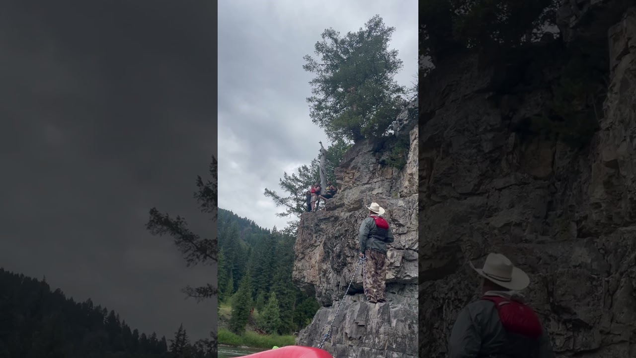 Jumping tree on the snake river. 