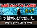 【沖縄】DMMかりゆし水族館、空港からすぐ行ける穴場スポットはこちら！【DMMかりゆし水族館】