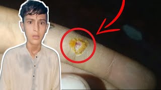 She Is Short Circuit Electric Shot For Me