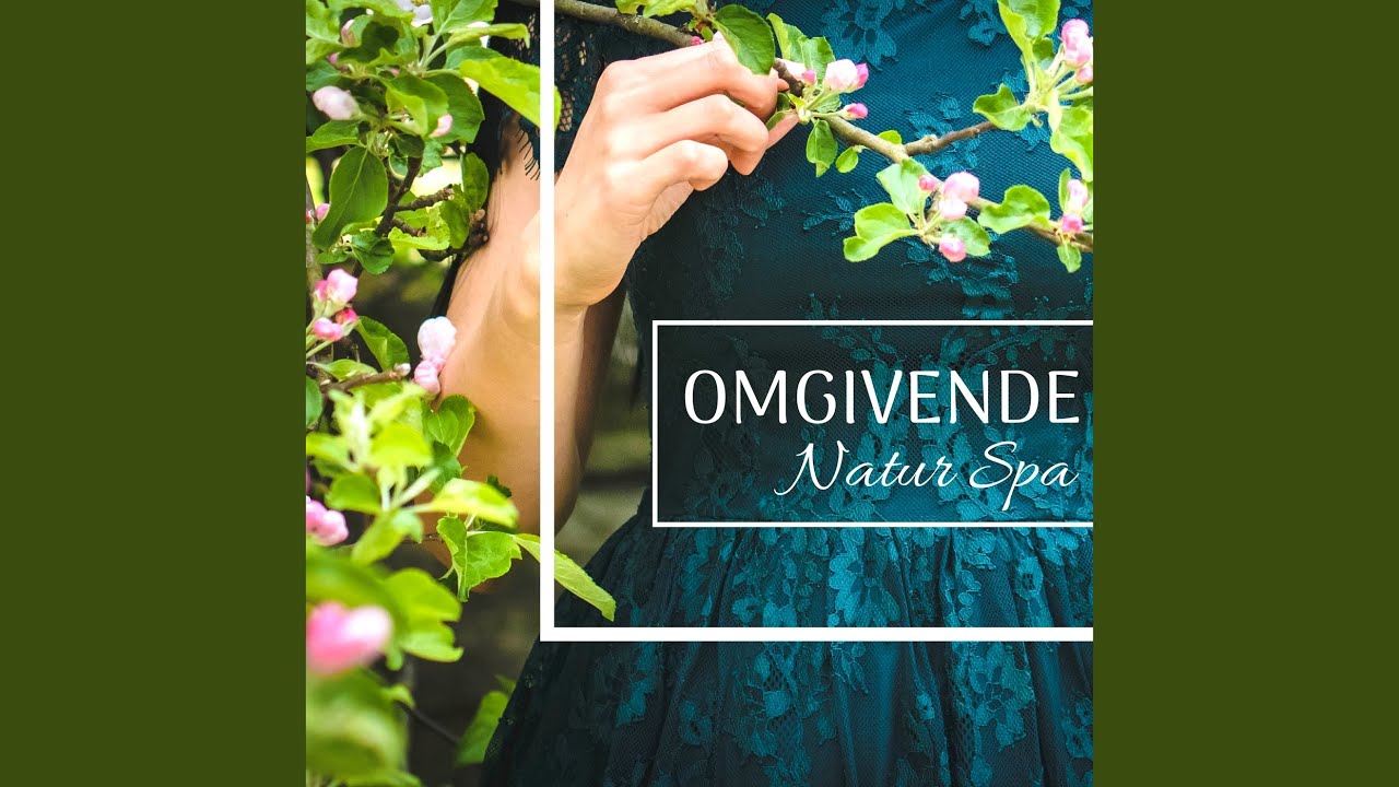 Chakra Test How Open Each Of Your 7 Chakras Is Chakra Test How Open Each Of Your 7 Chakras Is