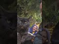 نازی بی اعصاب  شلتنا اكسبلور نزهه گربه 
