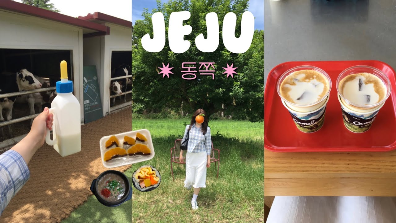 제주도 동쪽 여행 브이로그🏝️지도공유🍊우진해장국 • 동문시장 귤모찌 • 카멜커피 • 아베베 • 비밀의 숲 • 목장카페밭디 • 아침미소목장