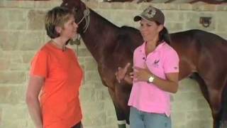 Meet Professional Polo Player Kristy Outhier On Equine Vip