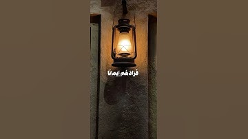 تلاوة بصوت الشيخ محمد أيوب #اكسبلور #المصحف #لايك #ترند #راحة_نفسية
