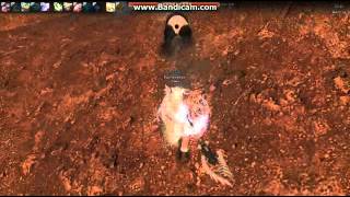 [SxDragon] Vindictus - Skip map Larken