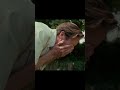 Questo è il mio posto | Chiamami col tuo nome