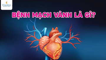 Bệnh mạch vành là gì? Vì sao bệnh mạch vành gây đột tử?
