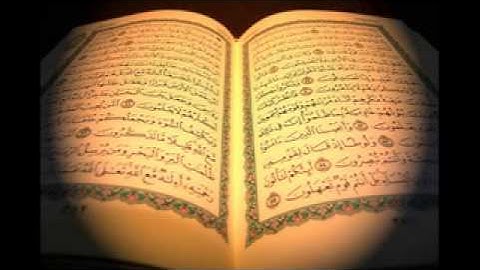 سورة التغابن بصوت الشيخ ناصر القطامي   سورة التغابن ناصر القطامي