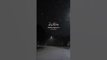 "الله لا إله إلا هو الحي القيوم" تلاوة خاشعة جداً ـ ياسر الدوسري 🤍 | حالات واتس اب | اية الكرسي