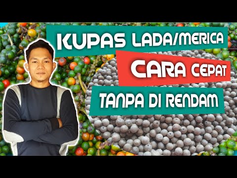 Cara Sederhana Membuat Lada Putih