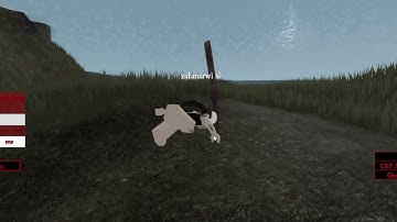 how to find Yokai realm