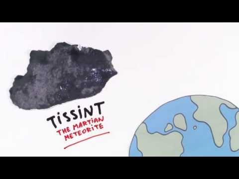 Tissint meteorite shows signs of past biological activity on Mars - the cartoon