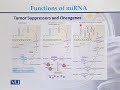 BT732 Genetics & Genomics Lecture No 236