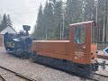 ST6   hohe Tatra - Waldeisenbahn - viel Regen