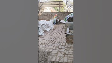 jaat intro fire🔥–pranjal dahiya new song #pranjaldahiya #youtubeshorts #trending #shorts #song #jaat