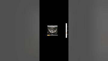 bomberman 2 for android