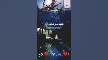 { إِنَّ أَصْحَابَ الْجَنَّةِ الْيَوْمَ فِي شُغُلٍ فَاكِهُونَ }[ سورة يس : 55 ]
