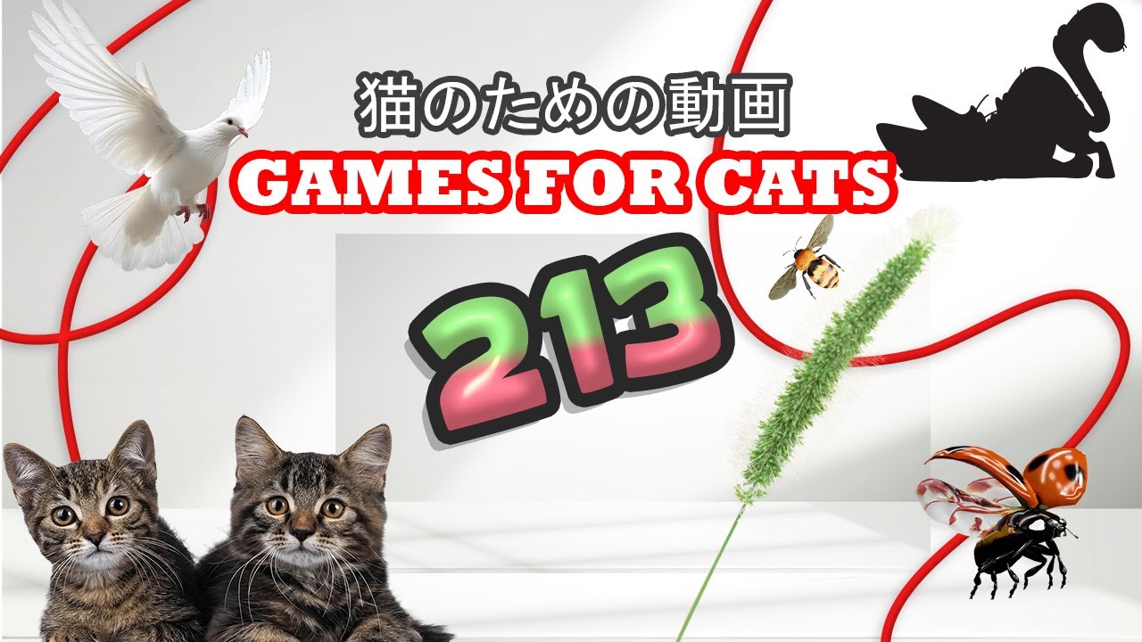 猫の髭 K224 A3989 A2565 A2278 A2384 A538 5000000086643_07.jpg