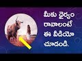 Watch this if you dare i best motivational i in telugu i telugu bharathi