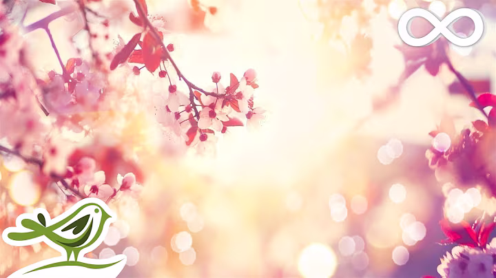 9 Hours of Relaxing Sleep Music • Soft Piano Music, Fall Asleep Fast #98