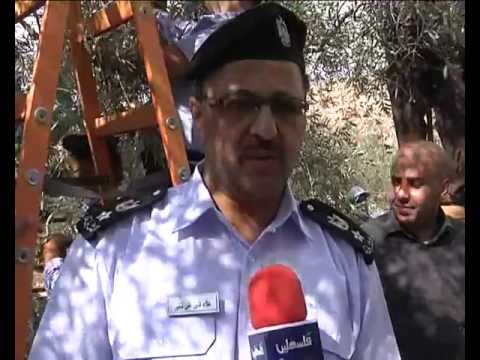 مشاركة الاجهزة الامنية في قطف الزيتون سلفيت محمد شتية