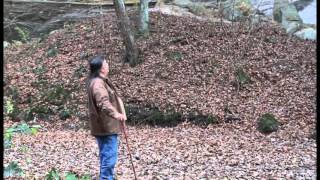 Save Starved Rock State Park in Illinois