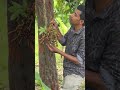 এই ফল গুলো কি নামে পরিচিত