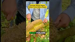 Jangan Tertipu‼️Durian Bagus Belum Tentu Ada Isinya⁉️