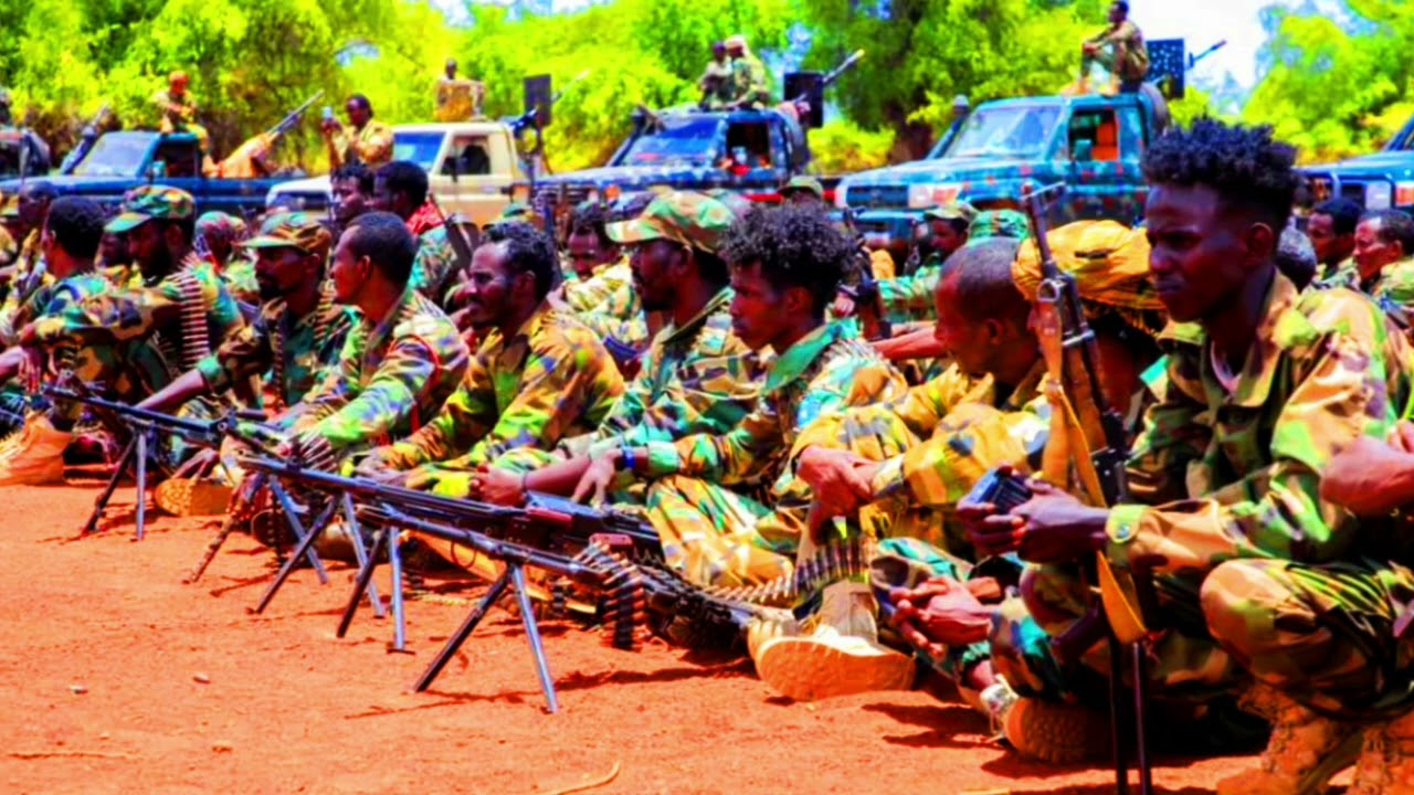 deg deg dagaalka kasocda ceerigaabo iyo xogo xasaasiya