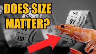 Does SIZE Matter? #OnlyFans