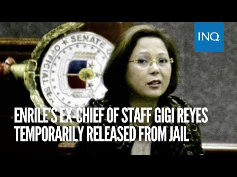 Enrile’s ex-chief of staff Gigi Reyes temporarily released from jail