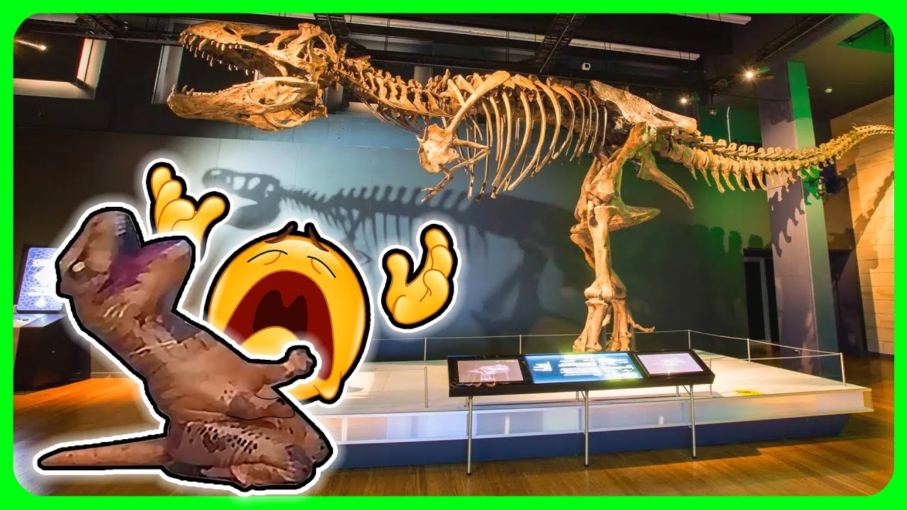 Night at the Museum explained by an idiot - YouTube