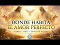 Donde Habita el Amor Perfecto ✨ Cantos a la Santísima Trinidad que Llenan el Corazón