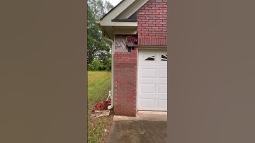 Brick repair as a pro! #construction #mansory #mansor #bricks