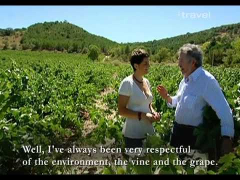 Видео: Какво е Вердехо? Проучване на древните сортове бяло вино в Испания