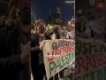 What Queers For Palestine Get Wrong About Palestine What Queers For Palestine Get Wrong About Palestine