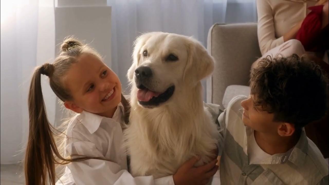 How to Get Rid of Dog Pee Smell Outside [Detailed Guide] YouTube