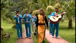 Video thumbnail of "A CRISTO LE VOY  2014 VIDEO OFICIAL BRENDA SOLIS"