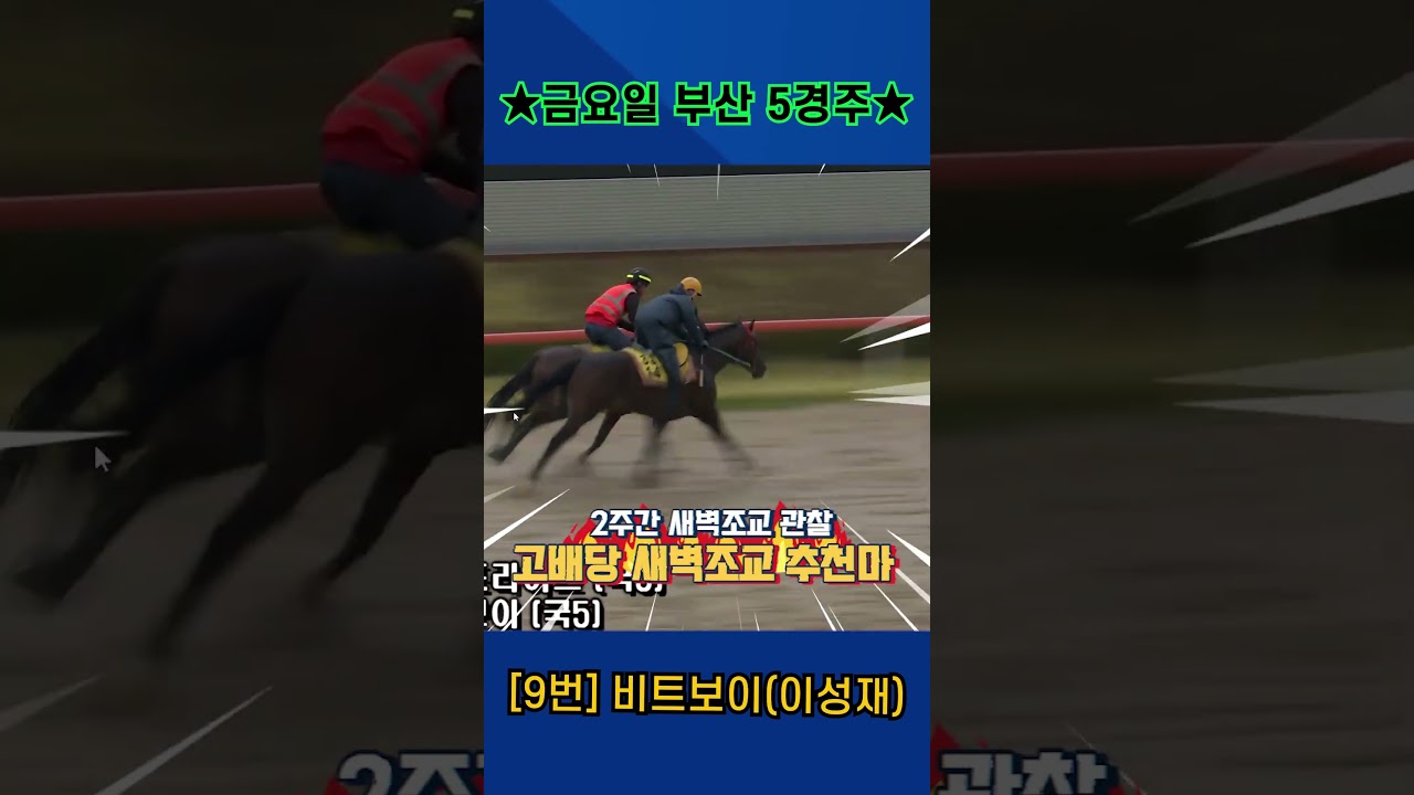 8월21일 금요일 부산 3경주!! 2주간 훈련보인 강백호의 새벽조교 쏘스마!!