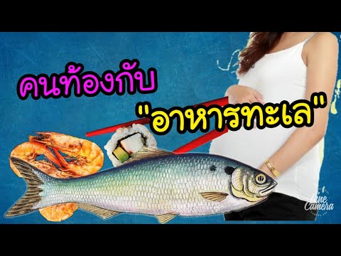 วีดีโอ: โพสกินอาหารทะเลได้มั้ยคะ