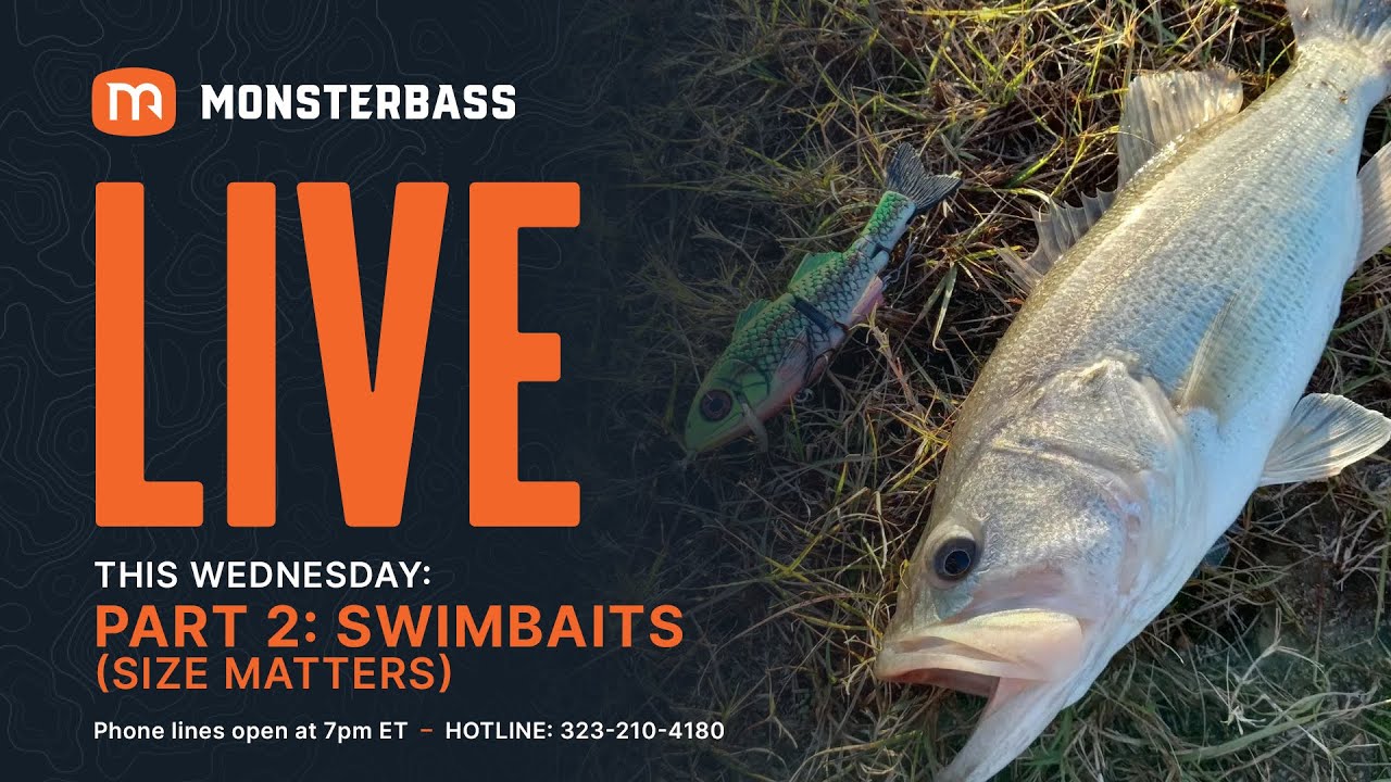 Episode 5 | Swimbaits (Size Matters Part 2)