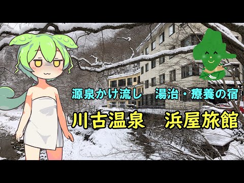 ジビエ料理と源泉かけ流し100%　湯治、療養の宿　「川古温泉　浜屋旅館」