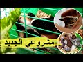 أصبحت عندي أكتر من 50 هامستر بدأت في مشروعي الجديد 
