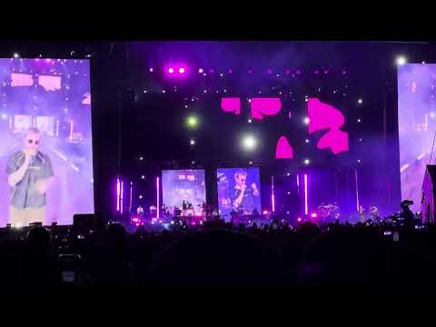 Maripositas- Sabino 28/02/25