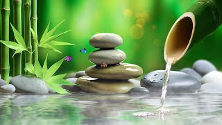 Relaxing Piano Music - Bamboo, Relaxing Music, Meditation, Peaceful Music, Nature Sounds, Calming by Peaceful Moments 10,323 views 7 days ago 3 hours