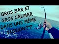 PÊCHE du BORD : GROS BAR & GROS CALMAR dans une MÊME SESSION ??