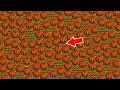 Ostia! 45+  Elenchi di Pumpkin Stardew Valley? Once the result is determined i pursue giant pumpkins.