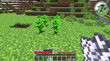 How to Multiply Jungle Saplings in Minecraft : Minecraft Tips