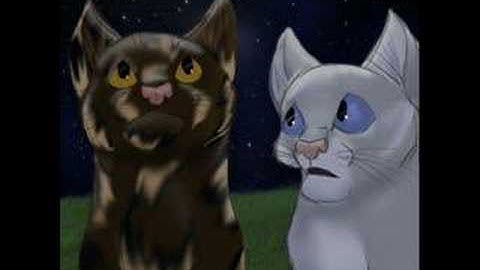 Warriors-How to save a life